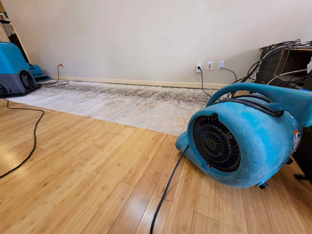 Professional Sewage Cleanup technician working in Apple Valley, MN